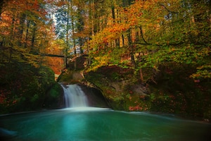 Imagem de natureza 300x200